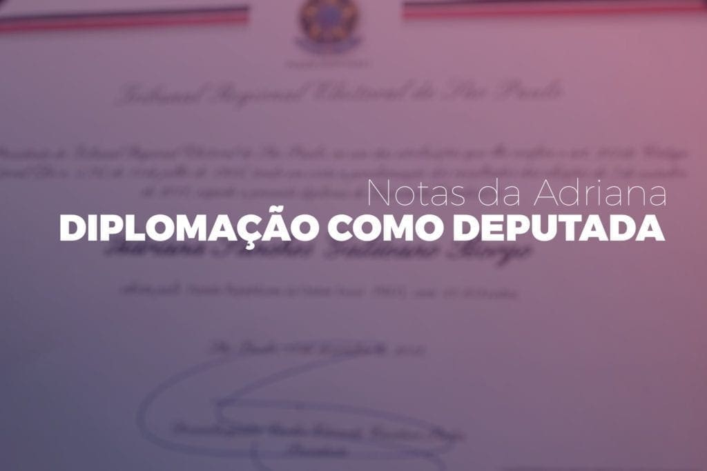 Adriana Borgo - diplomacao de deputada