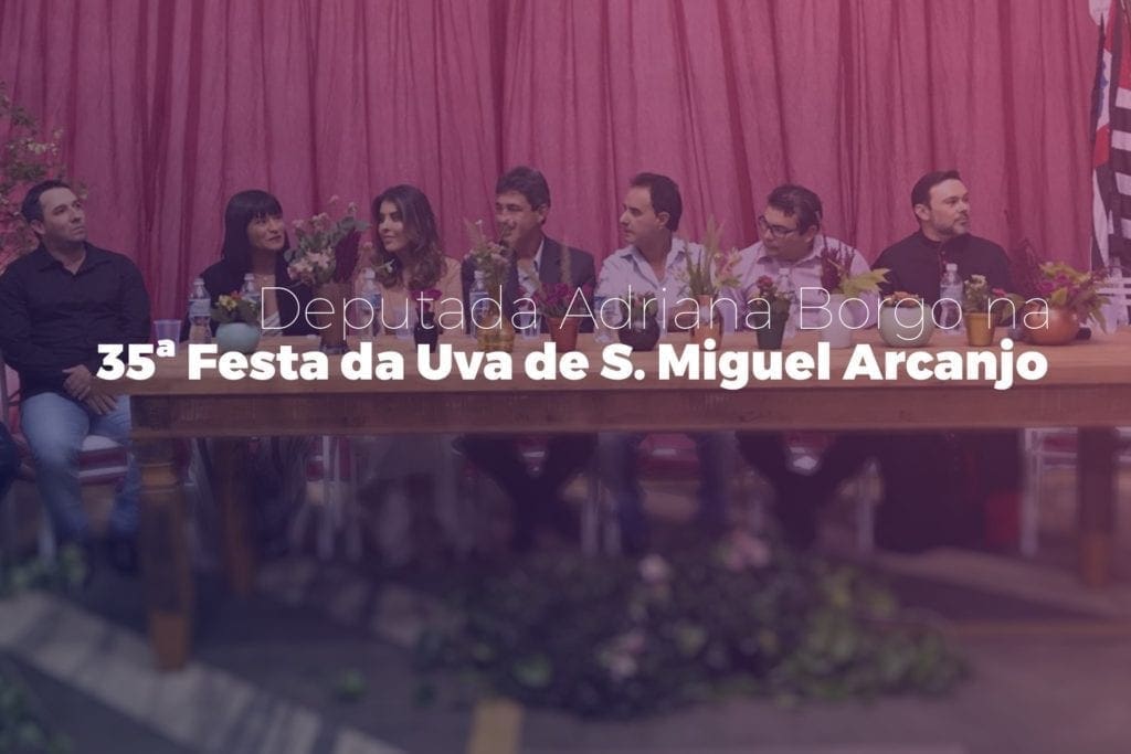 Adriana Borgo - 35 Festa da Uva de Sao Miguel Arcanjo- capa