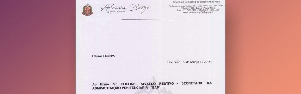 Adriana Borgo - AEVPs remanescentes - capa