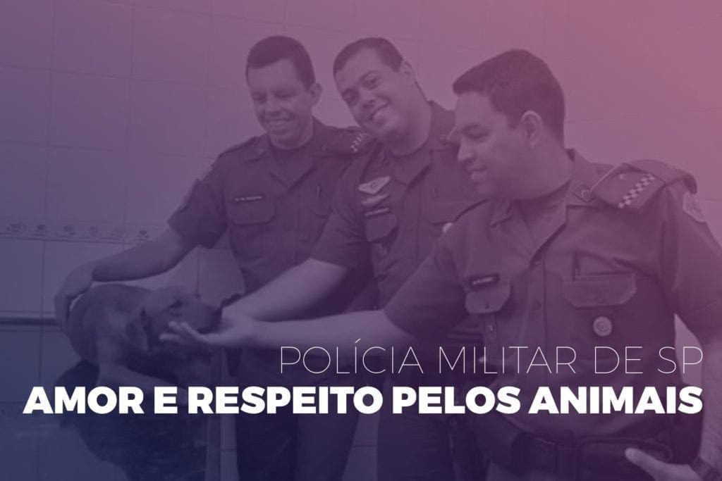 Adriana Borgo - PM SP resgata cadelinha - respeito pelos animais - capa2