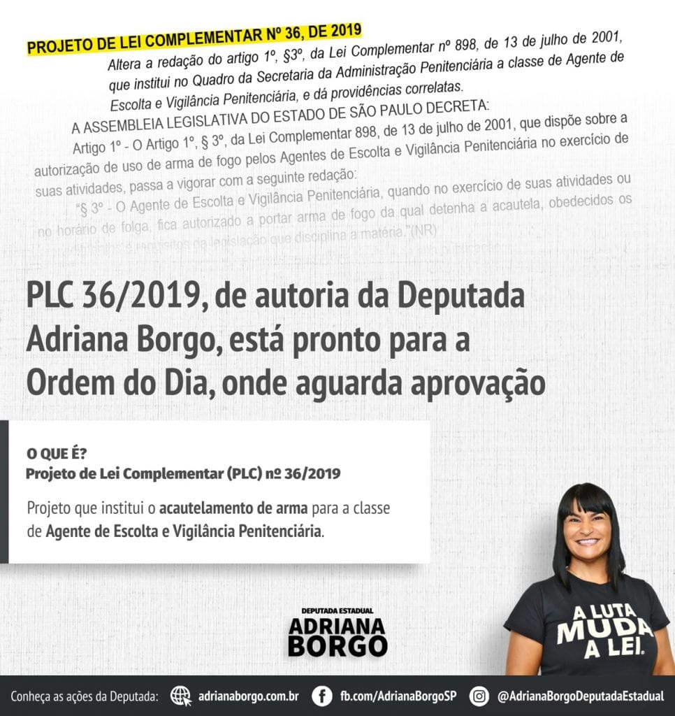 Adriana Borgo - PLC Acautelamento de Armas