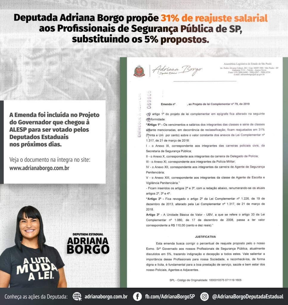 Aumento de 31% - versão Adriana Borgo(1)