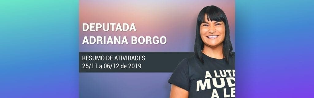 Adriana Borgo - Resumo Quinzenal de Atividades novembro-dezembro 2019