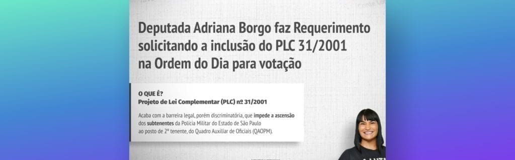 Adriana Borgo - aprovacao PLC31 de 2001 - capa