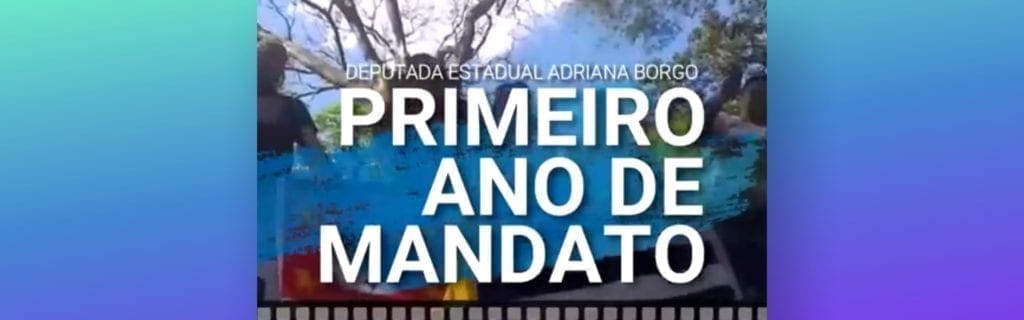 Adriana Borgo - primeiro ano de mandato