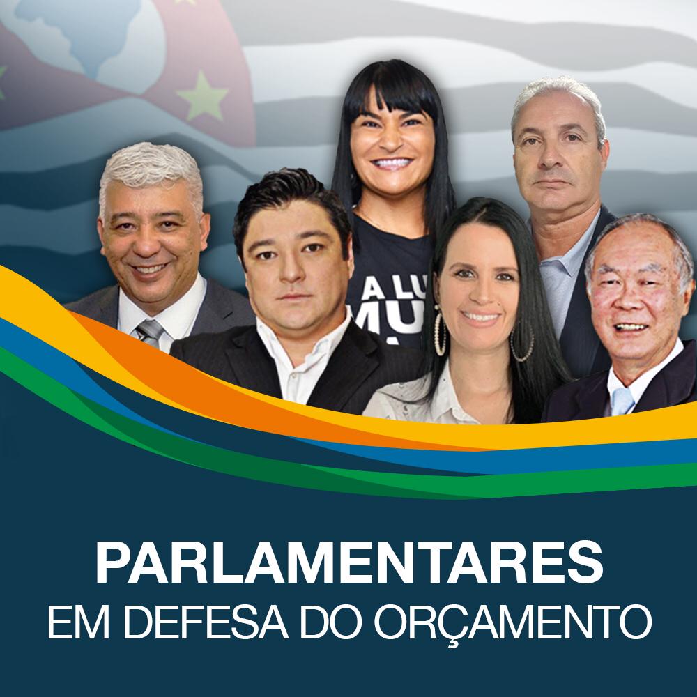 Adriana Borgo - Grupo PDO parlamentares SP (1)